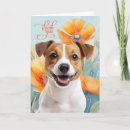 Search for jack russell dog cards Dogs