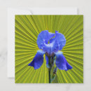 Search for iris flower cards Nature
