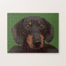 Search for dachshund puzzles Pet