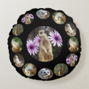 Search for meerkat cushions Suricata