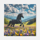 Search for springs magnets Nature