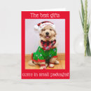 Search for puppy 1st christmas cards Baby