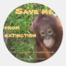 Search for endangered species stickers Animals