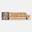 Search for yorkies bumper stickers Animals