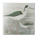 Search for clouds 10cm tiles Coastal