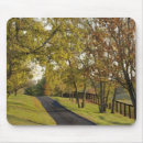 Search for landscape mousepads Fall