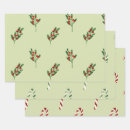 Search for mistletoe Red berries