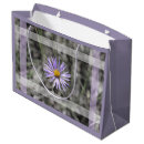 Search for blue aster Flower