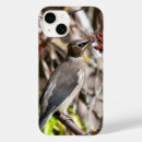 Search for avians iphone cases Bird