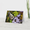 Search for butterfly birthday cards Flowers