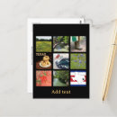 Search for texas postcards Photography