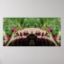 Search for praying mantis posters Insect