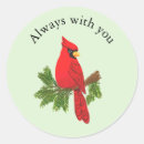 Search for cardinal quotes Sympathy