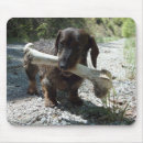 Search for sausage dog mousepads Animal