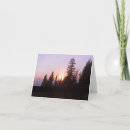 Search for beyond cards Sunset