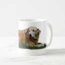 Search for mixed breed dog mugs Pet