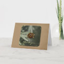 Search for bug art cards Photography
