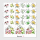 Search for medicinal stickers Herbal