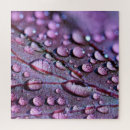 Search for water drop photography Rain