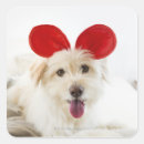 Search for bed stickers Animals