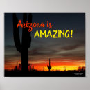 Search for desert cactus posters Sunset