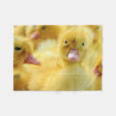 Search for animal photo blankets Cute
