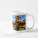 Search for brown cow mugs Cattle