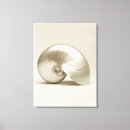 Search for fragility canvas prints Animal