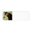 Search for arabian return address labels Horse
