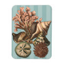 Search for crackled magnets Sea life