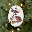 Search for hawk christmas tree decorations Falcon