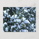 Search for covering postcards Season