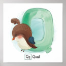 Search for quail posters Alphabet