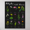 Search for flower power posters Colourful