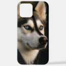 Search for huskies iphone cases Dogs