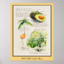Search for avocado posters Botanical