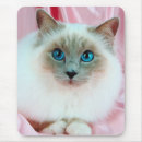 Search for pedigreed mousepads Cute