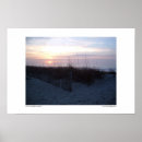 Search for seagrass art Beach