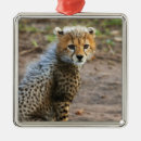 Search for african safari christmas tree decorations Nature