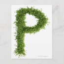 Search for white letter postcards Food and drink