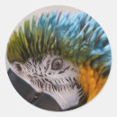 Search for pet portrait stickers Head