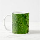 Search for leaf vein mugs Plant