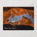 Search for antelopes Landscape
