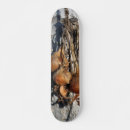 Search for fresh skateboards Food