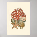 Search for collective posters Nature