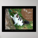 Search for cruelty art Cat