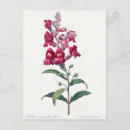 Search for berries postcards Illustration