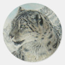 Search for snow leopard stickers Feline