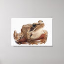 Search for blooded art Animal