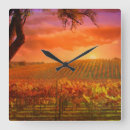 Search for tuscan clocks Vineyard